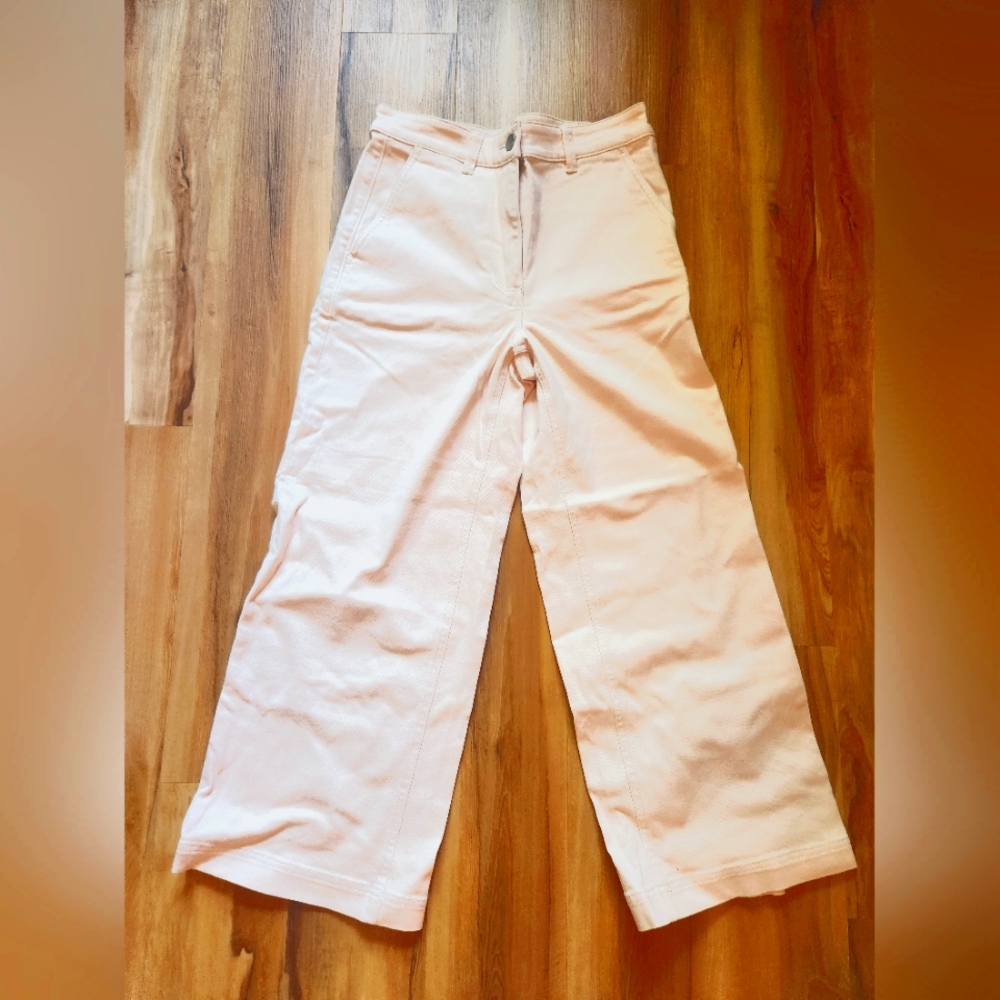 EUC Everlane The Wide-Leg Crop Pant in Pale Pink 🩷 (Sz 6)